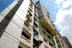 Blk 109 Whampoa Gardens (Toa Payoh), HDB 3 Rooms #495718661
